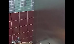 Hidden bathroom cam