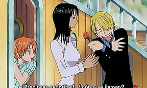 One Piece Episodio 220 (Sub Latino)