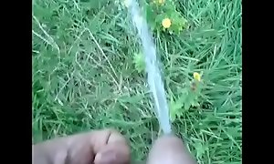 Watering the flowers