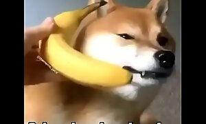 Mira esta banana bien rica